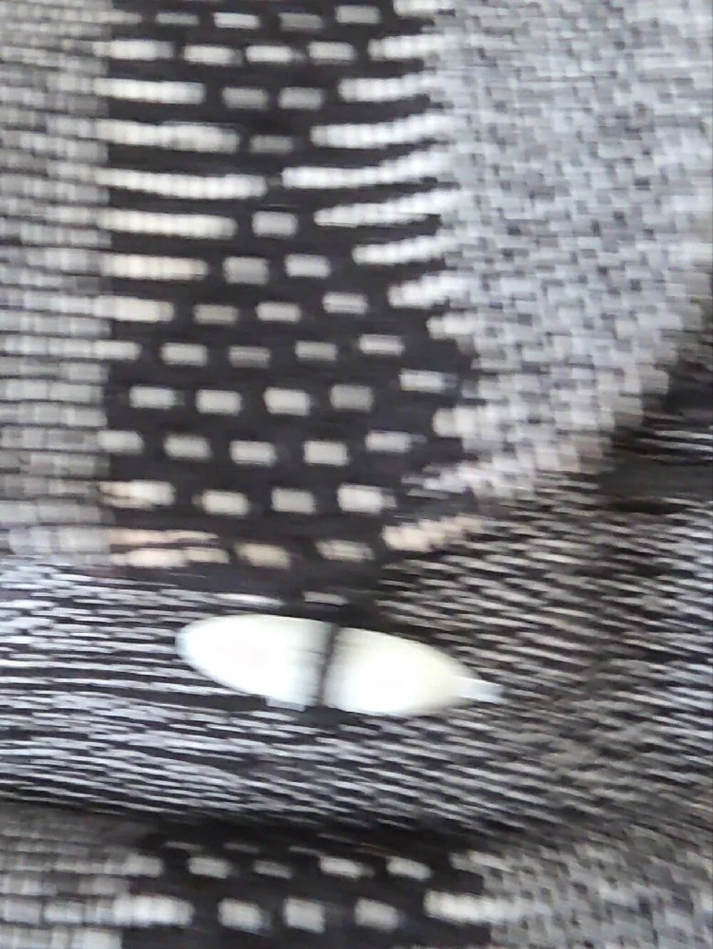 Handwoven Black & White Backpack - MOLINA